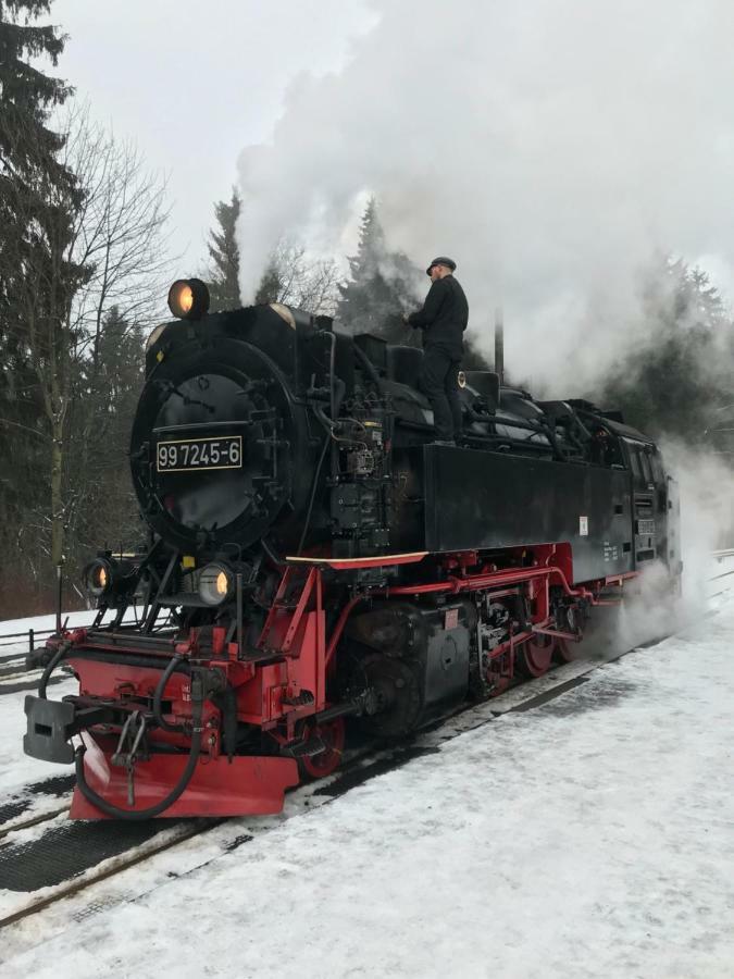 Harzer Ferienlodge Wernigerode Zewnętrze zdjęcie